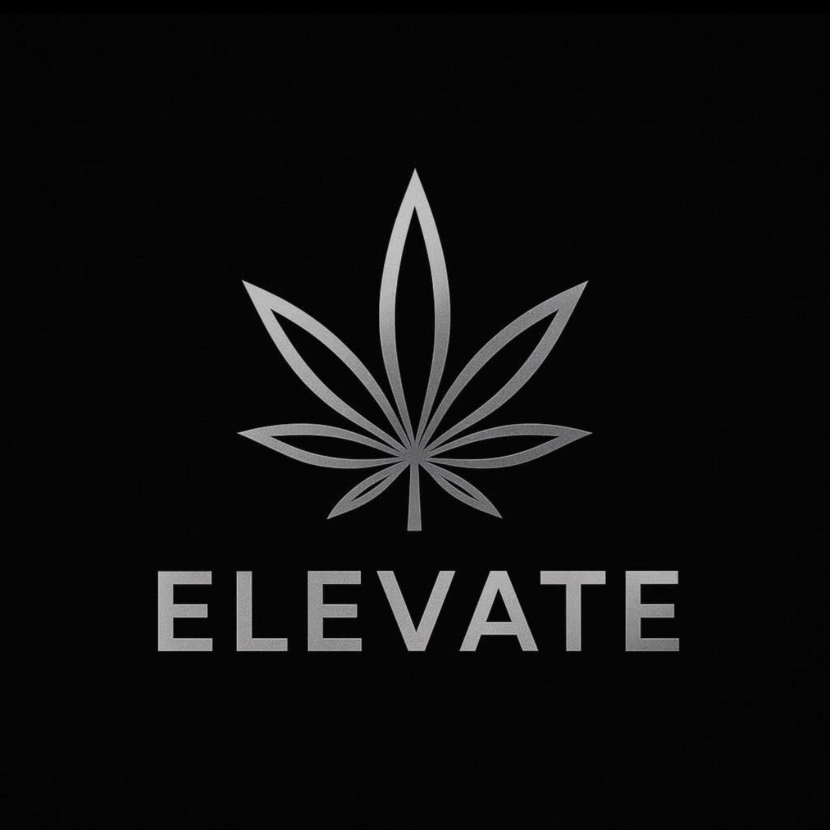 Elevate logo